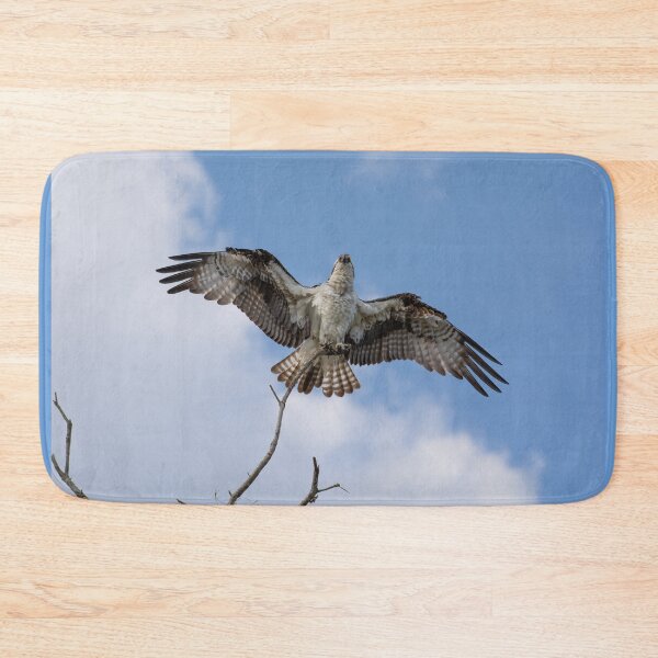 Item preview, American Osprey  designed and sold by Zina Stromberg.