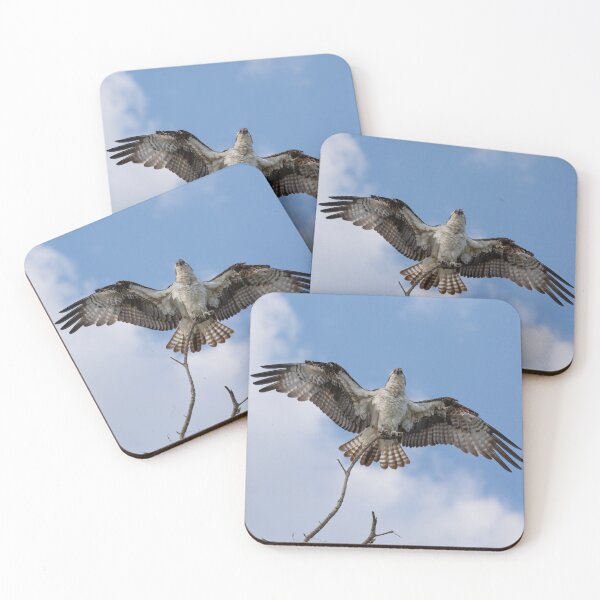 Item preview, American Osprey  designed and sold by Zina Stromberg.