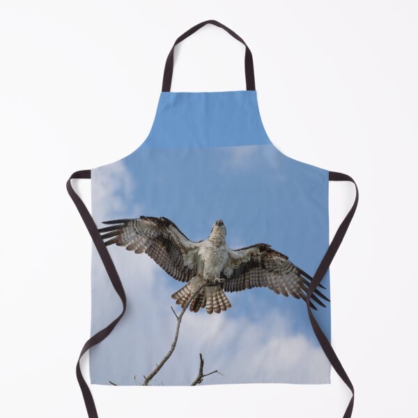 Item preview, American Osprey designed and sold by Zina Stromberg.