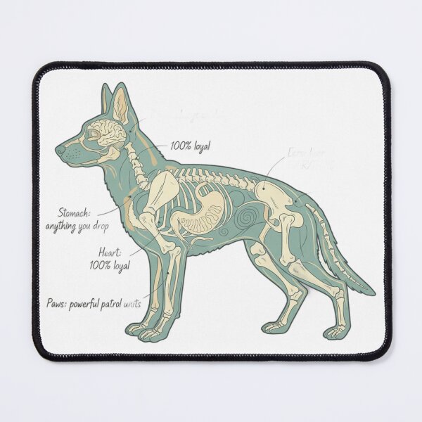 Item preview, German Shepherd Anatomy - Funny GSD Mom Dad Gift designed and sold by Petensity.