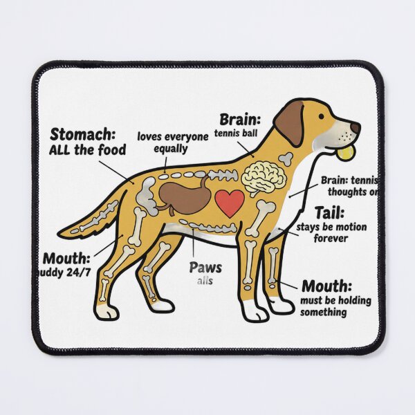 Item preview, Labrador Anatomy - Funny Lab Mom Dad Owner Gift designed and sold by Petensity.