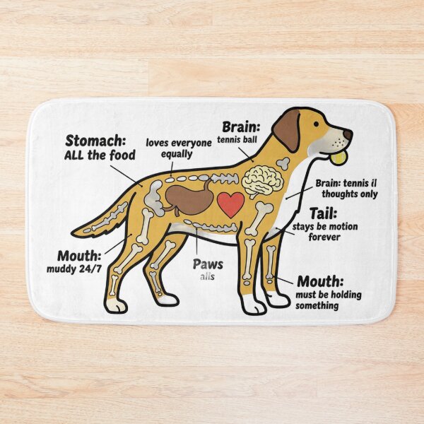 Item preview, Labrador Anatomy - Funny Lab Mom Dad Owner Gift designed and sold by Petensity.