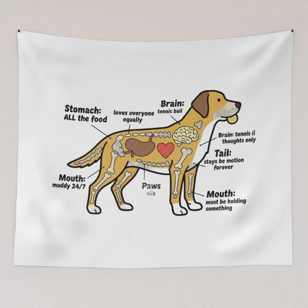 Item preview, Labrador Anatomy - Funny Lab Mom Dad Owner Gift designed and sold by Petensity.