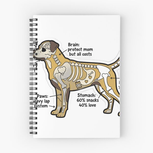 Item preview, Rottweiler Anatomy - Funny Rottie Mom Dad Owner Gift designed and sold by Petensity.