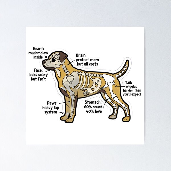 Item preview, Rottweiler Anatomy - Funny Rottie Mom Dad Owner Gift designed and sold by Petensity.
