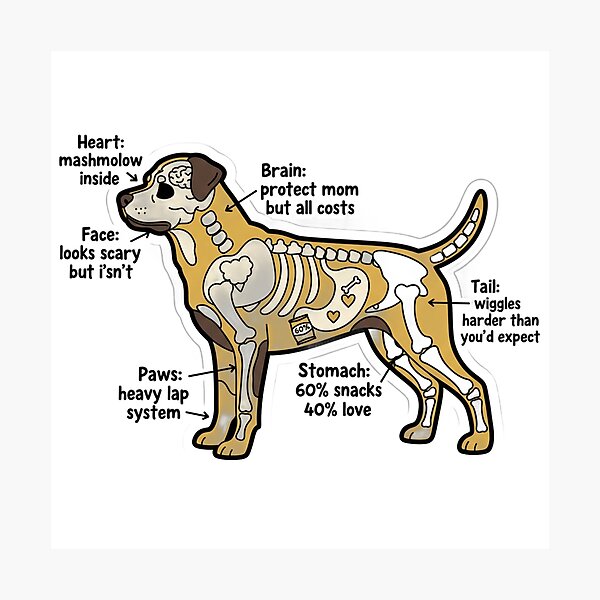 Item preview, Rottweiler Anatomy - Funny Rottie Mom Dad Owner Gift designed and sold by Petensity.