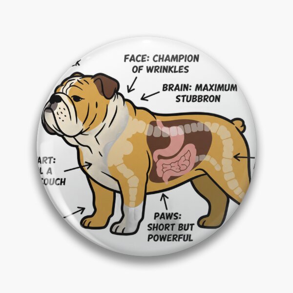 Item preview, English Bulldog Anatomy - Funny Bulldog Mom Dad Gift designed and sold by Petensity.