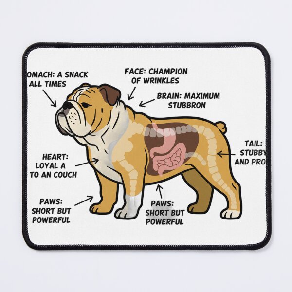 Item preview, English Bulldog Anatomy - Funny Bulldog Mom Dad Gift designed and sold by Petensity.