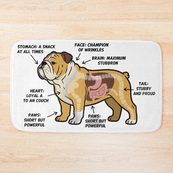 Item preview, English Bulldog Anatomy - Funny Bulldog Mom Dad Gift designed and sold by Petensity.