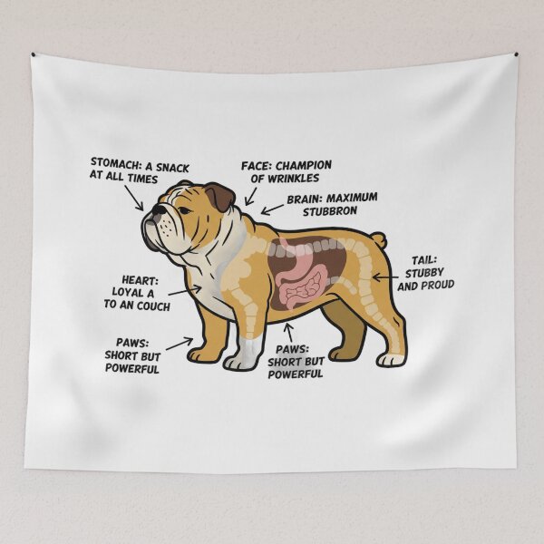 Item preview, English Bulldog Anatomy - Funny Bulldog Mom Dad Gift designed and sold by Petensity.