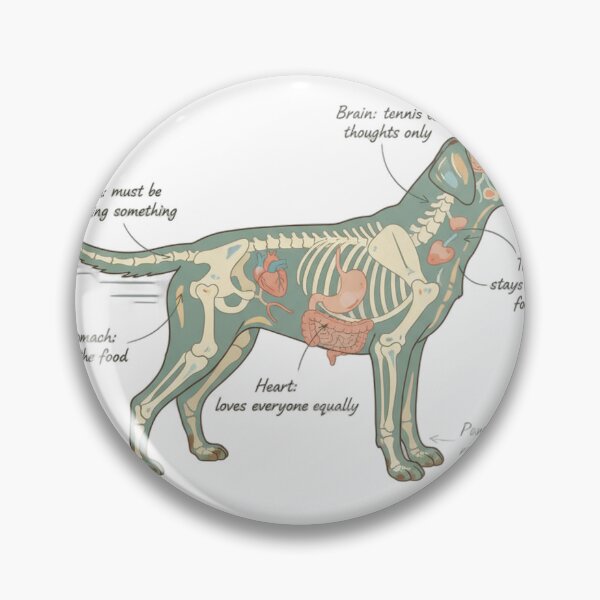 Item preview, Labrador Anatomy - Funny Lab Mom Dad Owner Gift designed and sold by Petensity.