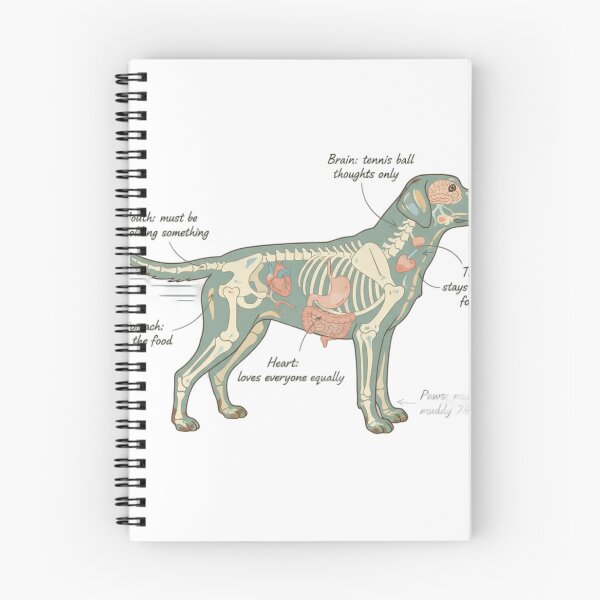 Item preview, Labrador Anatomy - Funny Lab Mom Dad Owner Gift designed and sold by Petensity.