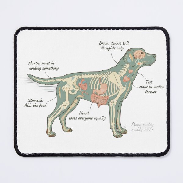 Item preview, Labrador Anatomy - Funny Lab Mom Dad Owner Gift designed and sold by Petensity.