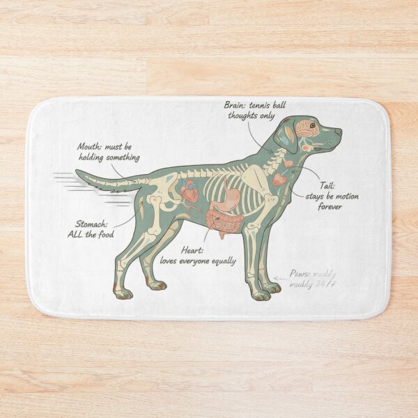 Item preview, Labrador Anatomy - Funny Lab Mom Dad Owner Gift designed and sold by Petensity.