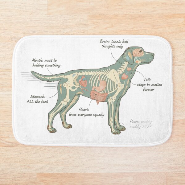 Item preview, Labrador Anatomy - Funny Lab Mom Dad Owner Gift designed and sold by Petensity.