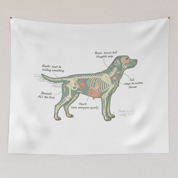 Item preview, Labrador Anatomy - Funny Lab Mom Dad Owner Gift designed and sold by Petensity.
