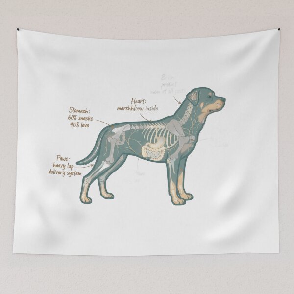 Item preview, Rottweiler Anatomy - Funny Rottie Mom Dad Owner Gift designed and sold by Petensity.