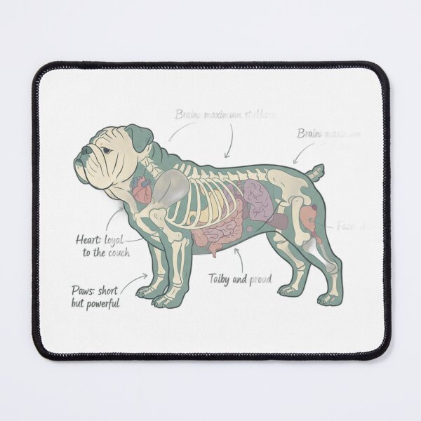 Item preview, English Bulldog Anatomy - Funny Bulldog Mom Dad Gift designed and sold by Petensity.