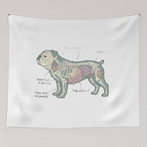 Item preview, English Bulldog Anatomy - Funny Bulldog Mom Dad Gift designed and sold by Petensity.