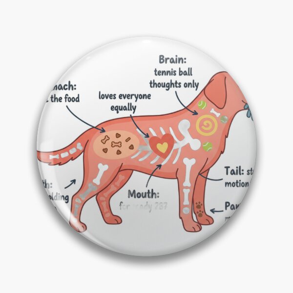 Item preview, Labrador Anatomy - Funny Lab Mom Dad Owner Gift designed and sold by Petensity.