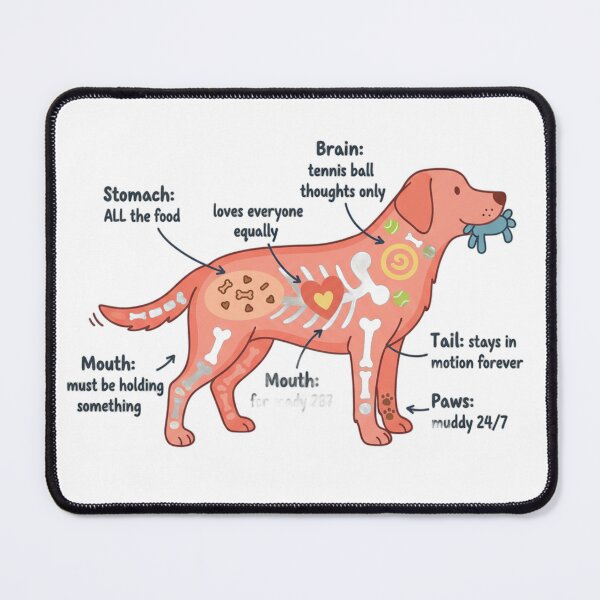 Item preview, Labrador Anatomy - Funny Lab Mom Dad Owner Gift designed and sold by Petensity.