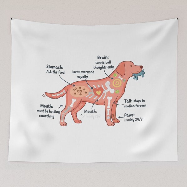 Item preview, Labrador Anatomy - Funny Lab Mom Dad Owner Gift designed and sold by Petensity.