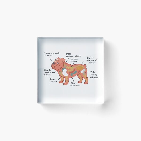 Item preview, English Bulldog Anatomy - Funny Bulldog Mom Dad Gift designed and sold by Petensity.