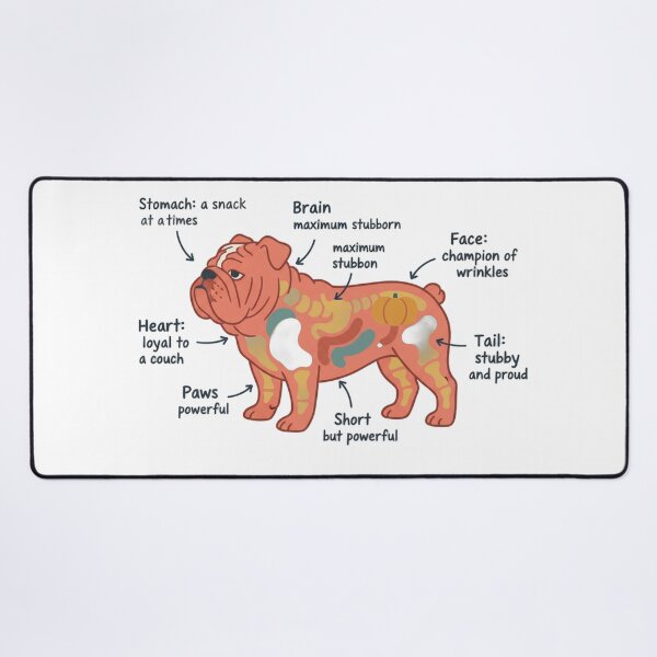 Item preview, English Bulldog Anatomy - Funny Bulldog Mom Dad Gift designed and sold by Petensity.