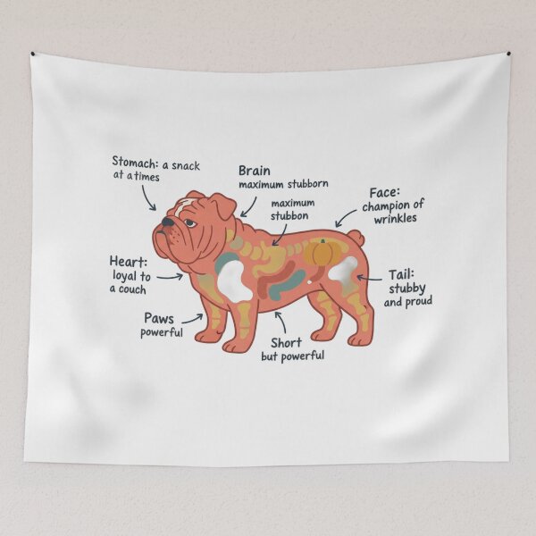 Item preview, Anatomía del Bulldog Inglés - Divertido regalo para padres y madres de Bulldogs designed and sold by Petensity.