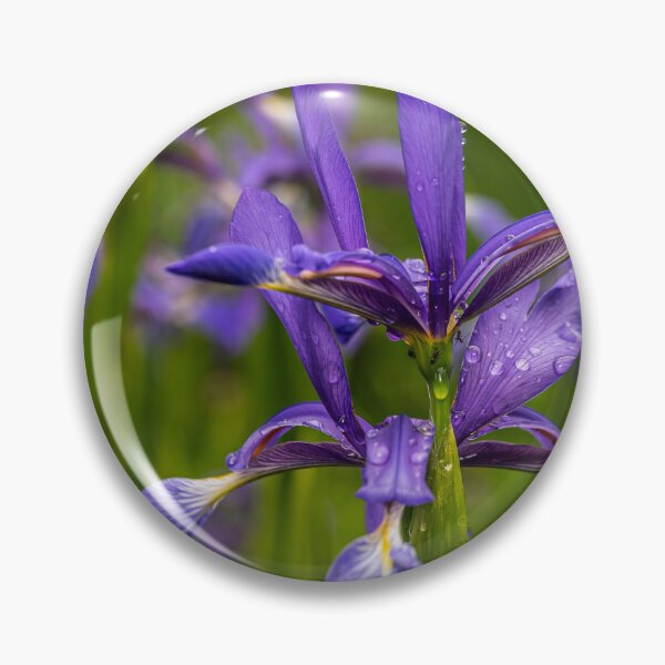 Item preview, After the Rain — Purple Iris in Full Bloom designed and sold by Rabee Khalil Photography.