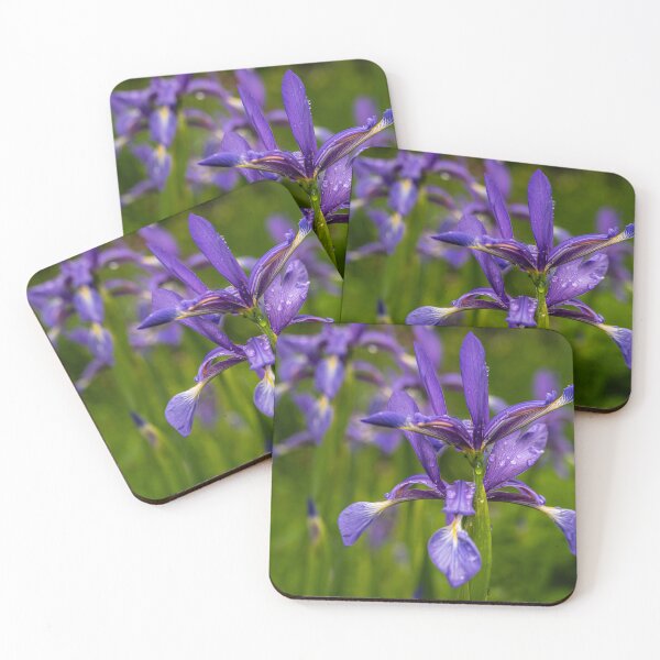 Item preview, After the Rain — Purple Iris in Full Bloom designed and sold by Rabee Khalil Photography.