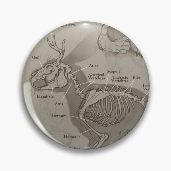 Item preview, jackalope anatomy designed and sold by chaoticcaprisun.