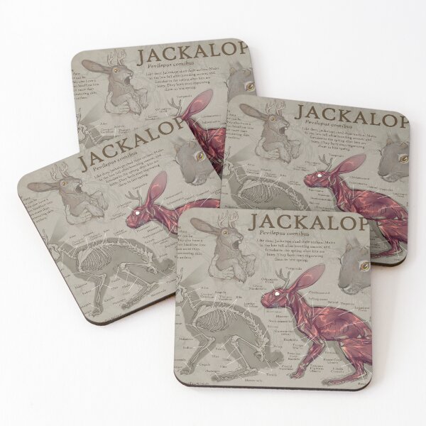 Item preview, jackalope anatomy designed and sold by chaoticcaprisun.