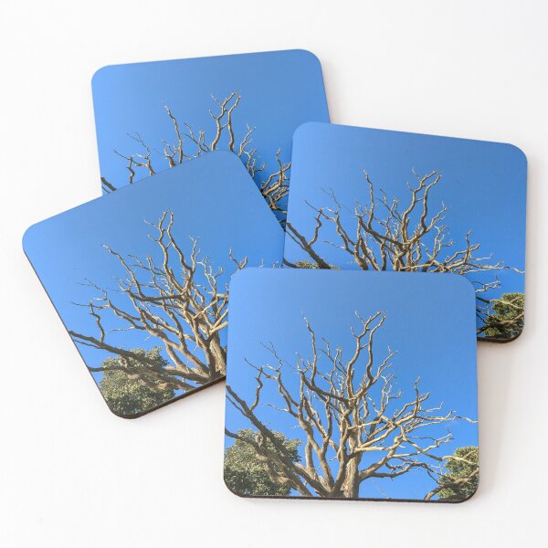 Item preview, The branches in the sky  designed and sold by FastRapidash.