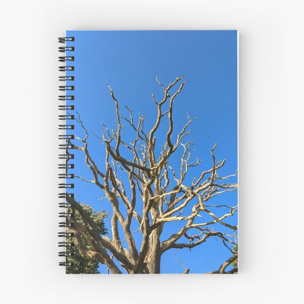 Item preview, The branches in the sky  designed and sold by FastRapidash.