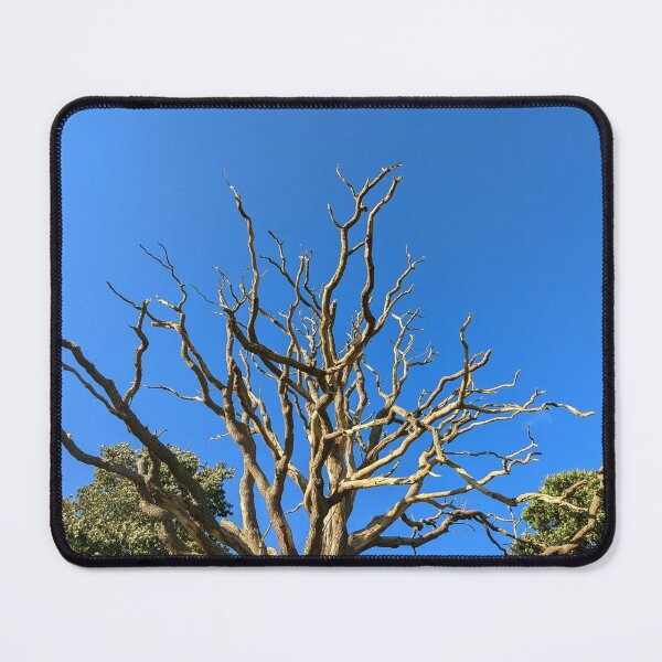 Item preview, The branches in the sky  designed and sold by FastRapidash.