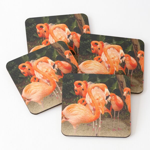 Item preview, Caribbean Flamingo designed and sold by PaulineHoward.