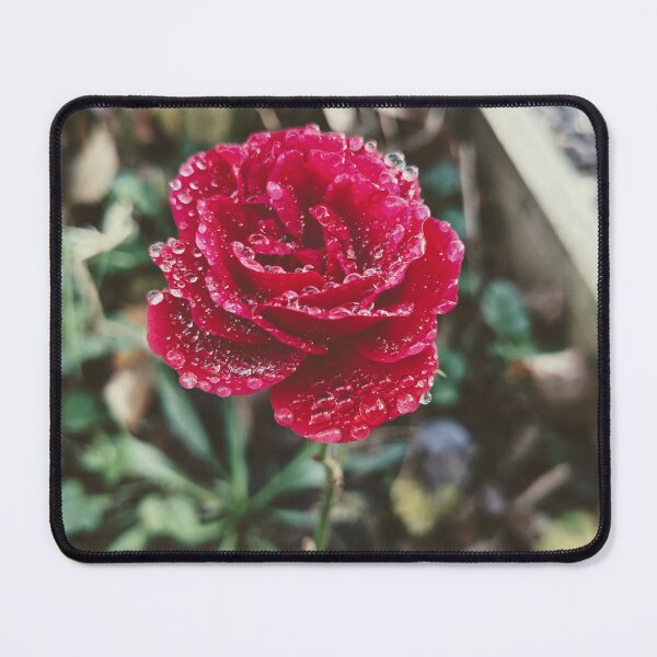 Item preview, Rose in the Dew designed and sold by FastRapidash.