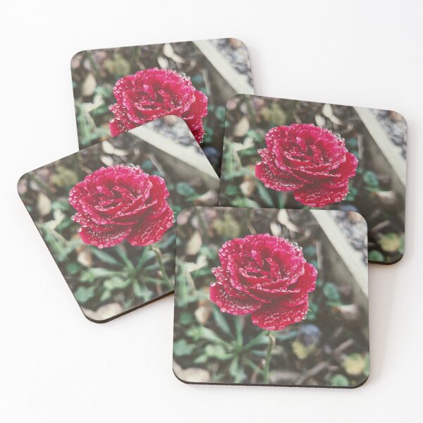 Item preview, Rose in the Dew designed and sold by FastRapidash.