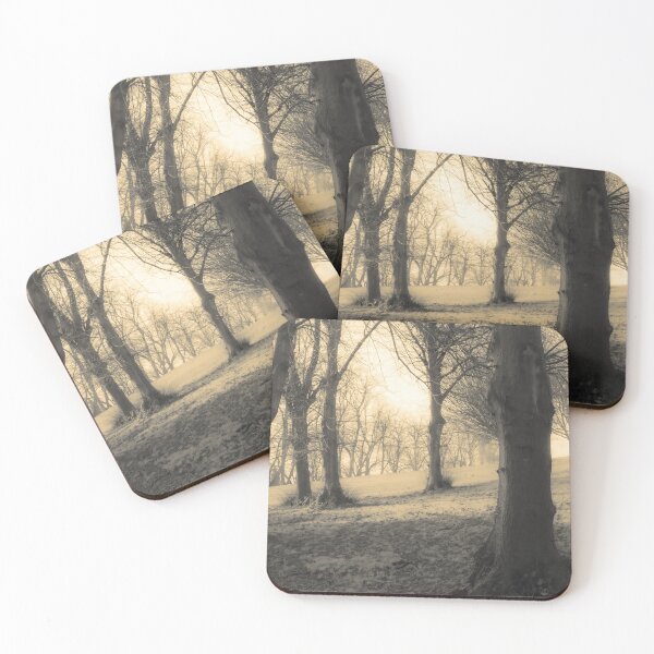 Item preview, Luz solar a través de los árboles designed and sold by Christine Lake.