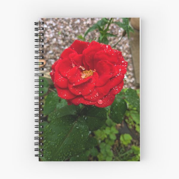 Item preview, Big red rose  designed and sold by FastRapidash.