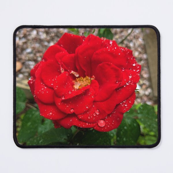 Item preview, Big red rose  designed and sold by FastRapidash.