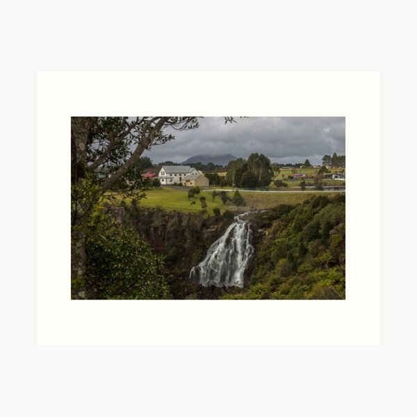 Waratah ~ Tasmania Art Print