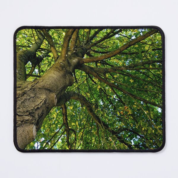 Item preview, Under leaves designed and sold by FastRapidash.