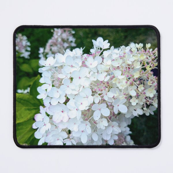 Item preview, Buddleia in bloom designed and sold by FastRapidash.