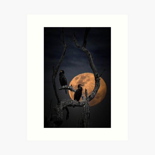 Cormorants by the Full Moon Art Print