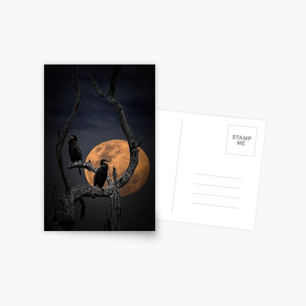 Item preview, Cormorants by the Full Moon designed and sold by Elysian Photography.