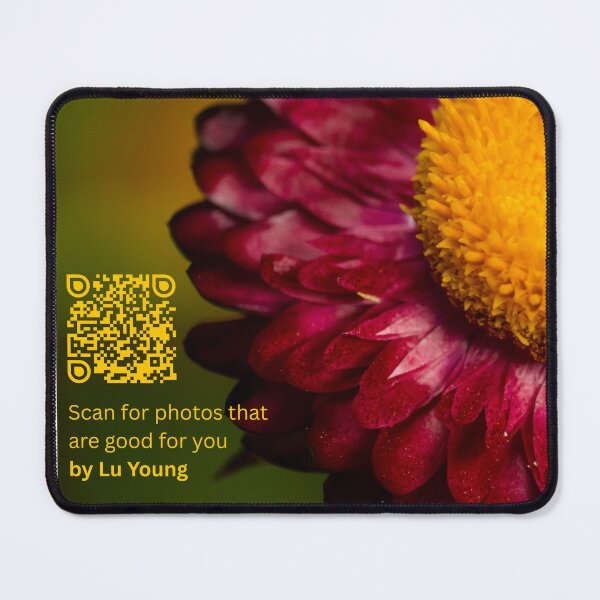 Item preview, Colorful strawflower (Xerochrysum bracteatum) designed and sold by Photo_Lu_Global_Imagery.