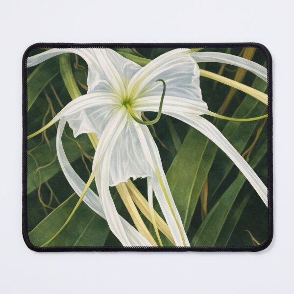Item preview, Stylised art of a spider lily taken from an original photograph. designed and sold by Jenni Tee.
