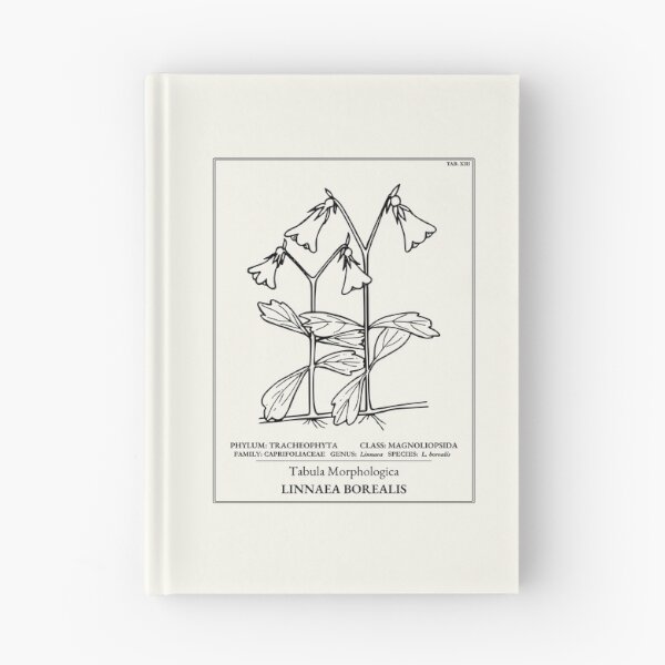 Item preview, American Twinflower Botanical Art designed and sold by NuvoraNest.
